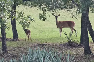 686 Cattlebaron Parc Dr, Fort Worth, TX 76108 - Photo 29