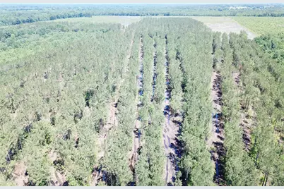 Off Cr 4290, Simms, TX 75574 - Photo 7