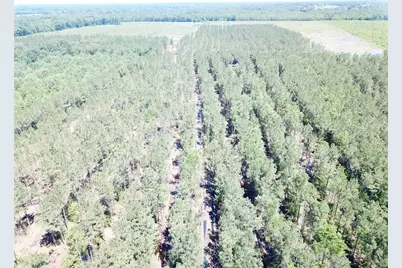 Off Cr 4290, Simms, TX 75574 - Photo 11