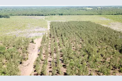 Off Cr 4290, Simms, TX 75574 - Photo 15