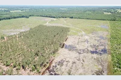 Off Cr 4290, Simms, TX 75574 - Photo 19