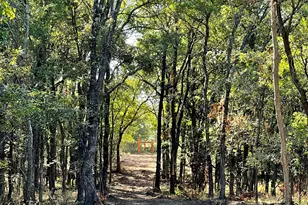 800 Vest Ln, Pilot Point, TX 76258 - Photo 5