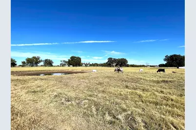 Phase 2 Lot 9 William Brewer Road, Tioga, TX 76721 - Photo 9