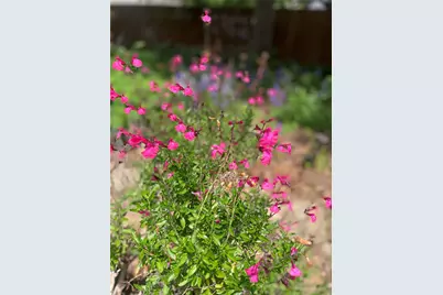 1801 Glenbrook Court, Bedford, TX 76021 - Photo 39