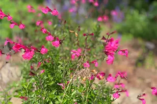 1801 Glenbrook Ct, Bedford, TX 76021 - Photo 39