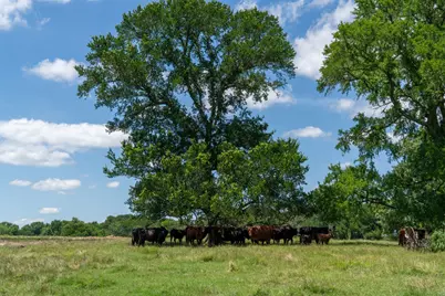 248 -Shaffer Road, Denison, TX 75021 - Photo 35