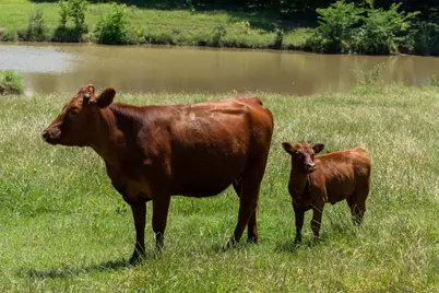 248 -Shaffer Road, Denison, TX 75021 - Photo 29