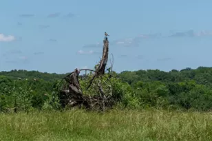 248 Shaffer Rd, Denison, TX 75021 - Photo 25