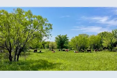7328 Hwy 183 N, Early, TX 76802 - Photo 35