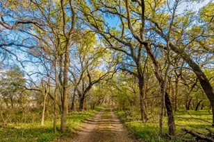 7328 Hwy 183 N, Early, TX 76802 - Photo 5