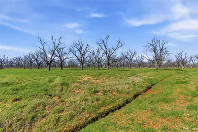 1730 Cirrus Loop, Granbury, TX 76049 - Photo 5