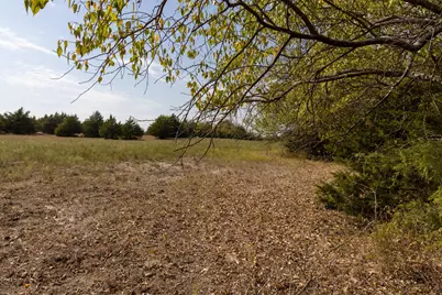 Tract 6 County Road 2935, Dodd City, TX 75438 - Photo 15