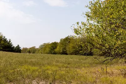 Tract 6 County Road 2935, Dodd City, TX 75438 - Photo 3