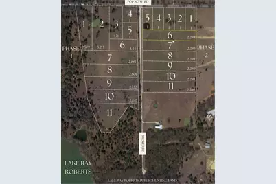 Phase 2 Lot 6 William Brewer Road, Tioga, TX 76271 - Photo 3