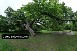 2013 Westshore Dr, Garland, TX 75043 - Photo 3