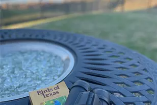 15108 Wild Duck Way, Fort Worth, TX 76262 - Photo 37