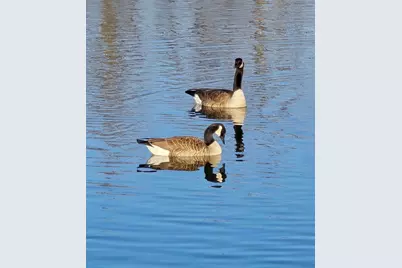 15108 Wild Duck Way, Fort Worth, TX 76262 - Photo 39