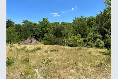 Tract One Pilot Grove Road, Whitewright, TX 75491 - Photo 5