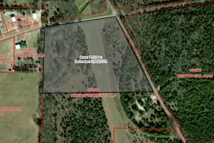Tract One Pilot Grove Rd, Whitewright, TX 75491 - Photo 1