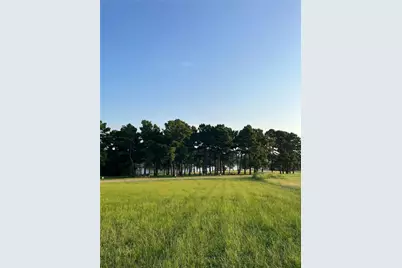 Lot 65: Tbd - Private Road 52320, Pittsburg, TX 75686 - Photo 9