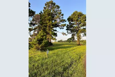 Lot 65: Tbd - Private Road 52320, Pittsburg, TX 75686 - Photo 5