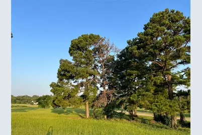 Lot 65: Tbd - Private Road 52320, Pittsburg, TX 75686 - Photo 7