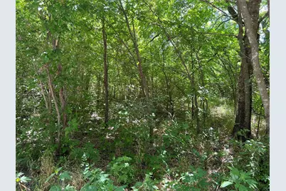 Tract Two Pilot Grove Road, Whitewright, TX 75491 - Photo 7