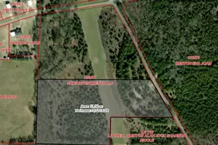 Tract Two Pilot Grove Rd, Whitewright, TX 75491 - Photo 1