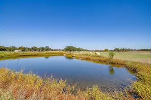 2608 Turkey Creek Rd, Mineral Wells, TX 76067 - Photo 3