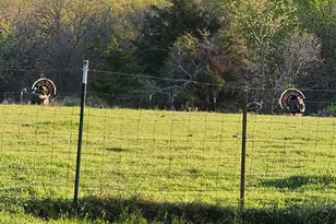 470 Private Road 3650, Paradise, TX 76073 - Photo 9