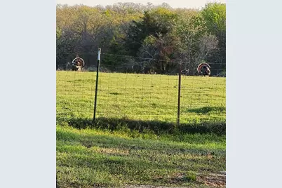 470 Private Road 3650, Paradise, TX 76073 - Photo 9