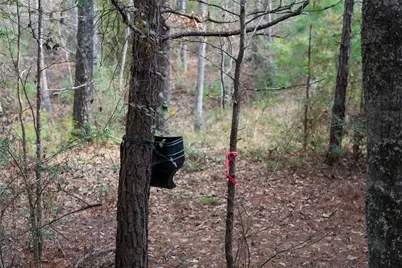 9190 County Road 2136 N, Henderson, TX 75652 - Photo 17