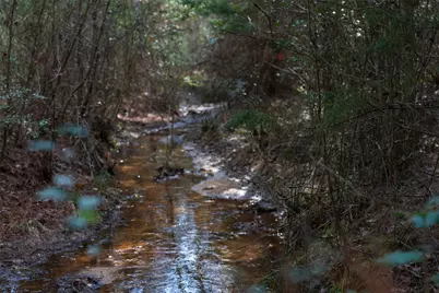 9190 County Road 2136 N, Henderson, TX 75652 - Photo 3