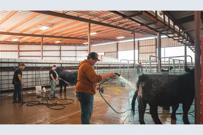 3536 E Hwy 82 Highway, Paris, TX 75462 - Photo 29