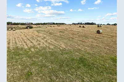 Tbd Crews Road, Bells, TX 75414 - Photo 33