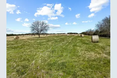 Tbd Crews Road, Bells, TX 75414 - Photo 9