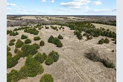 Tbd Crews Road, Bells, TX 75414 - Photo 29