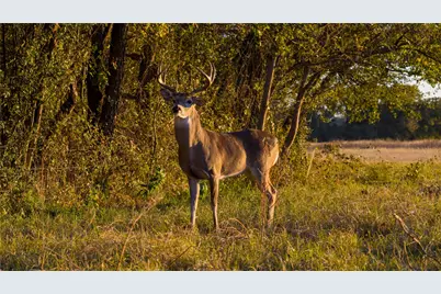 124 Private Road 3209, Bridgeport, TX 76426 - Photo 25