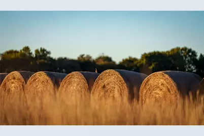 124 Private Road 3209, Bridgeport, TX 76426 - Photo 19