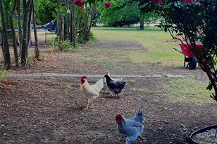 6482 Co Rd 321, Valley View, TX 76272 - Photo 35