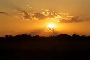 6482 Co Rd 321, Valley View, TX 76272 - Photo 33