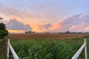 6482 Co Rd 321, Valley View, TX 76272 - Photo 39