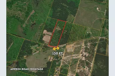 0 County Road 4557, Bivins, TX 75555 - Photo 3