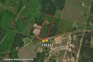 0 County Road 4557, Bivins, TX 75555 - Photo 3