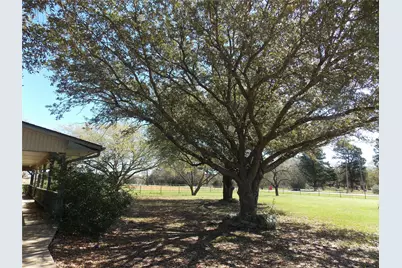 10211 Bluebonnet Drive, Scurry, TX 75158 - Photo 15