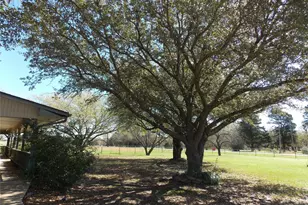 10211 Bluebonnet Dr, Scurry, TX 75158 - Photo 15