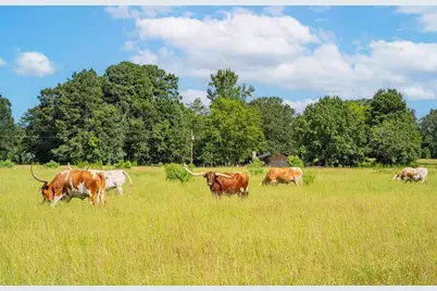 14284 322 Highway, Kilgore, TX 75662 - Photo 21