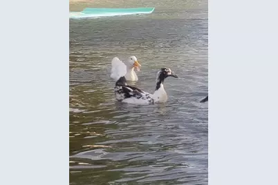 419 Sky Harbour Court, Granbury, TX 76049 - Photo 37