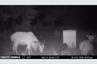 1390 Clayton Mountain Road, Gordon, TX 76453 - Photo 15