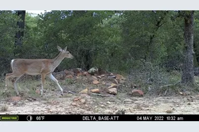 1390 Clayton Mountain Road, Gordon, TX 76453 - Photo 13